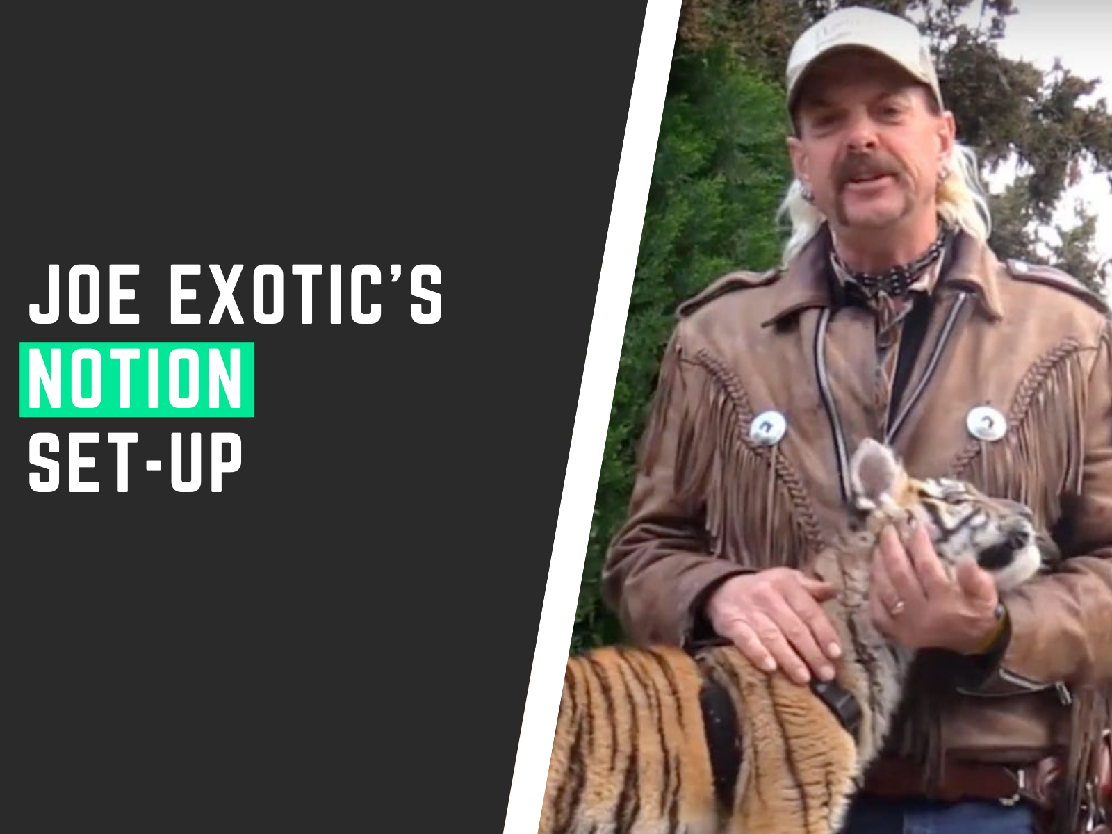 Joe Exotic’s Notion Set-up (an Inside Peek)